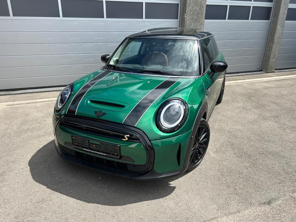 Mini Mini Electric