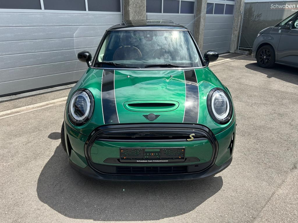 Mini Mini Electric