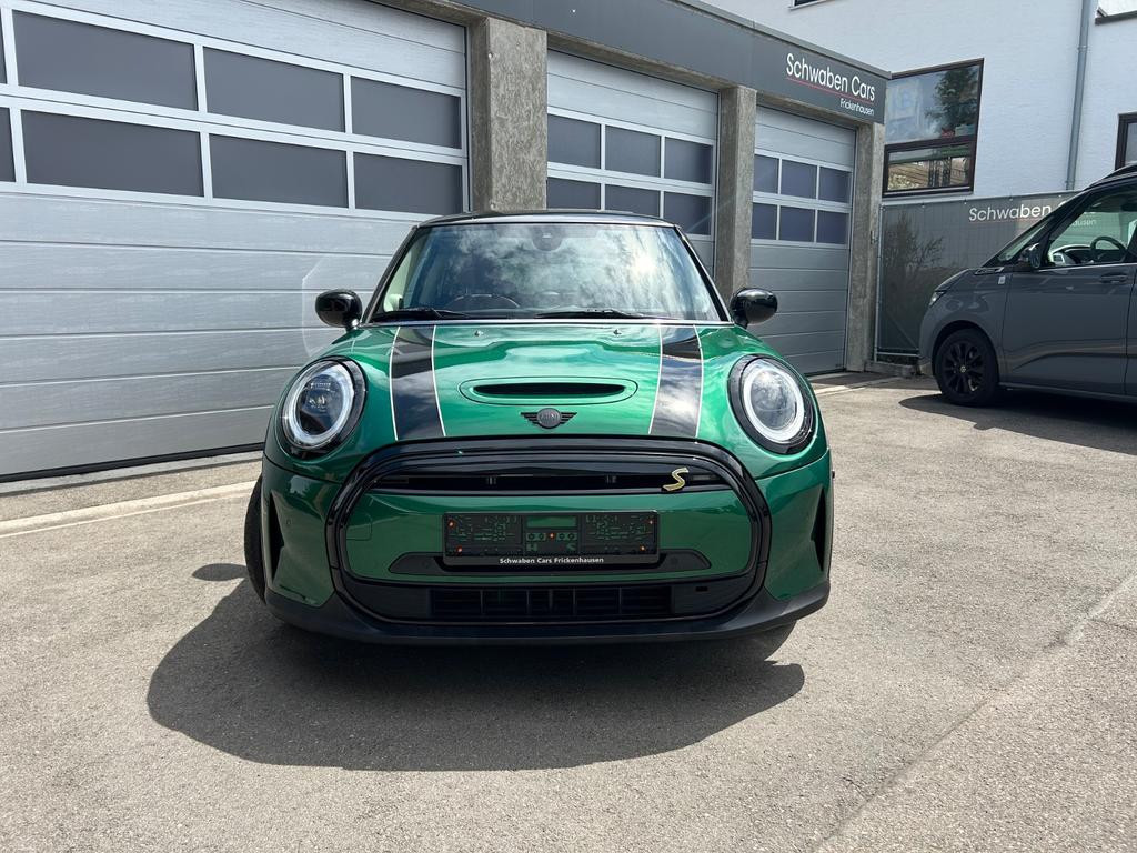 Mini Mini Electric