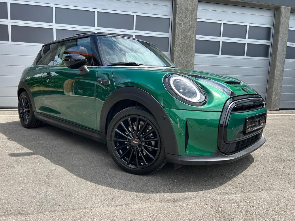 Mini Mini Electric