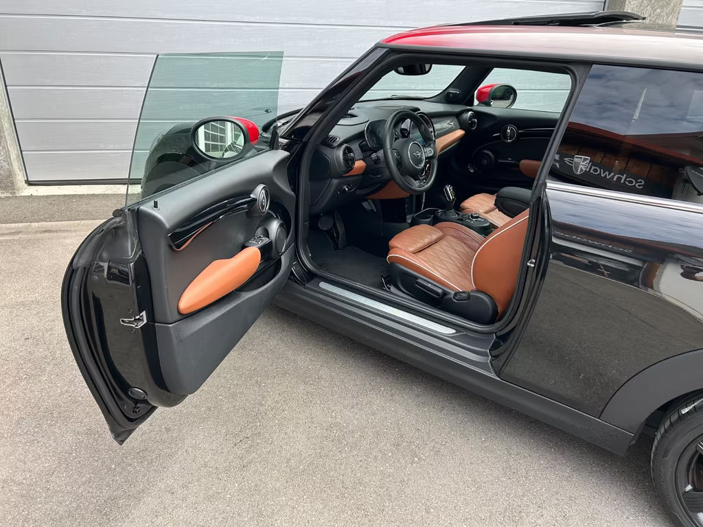 Mini Mini Electric