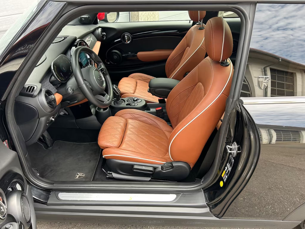 Mini Mini Electric