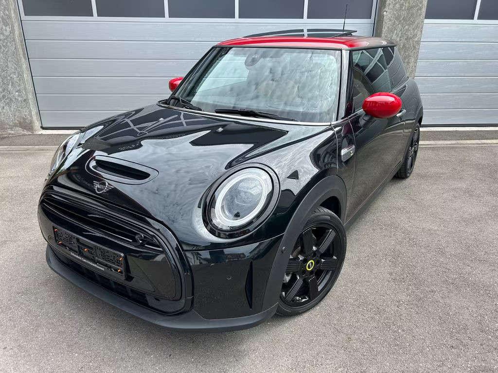 Mini Mini Electric