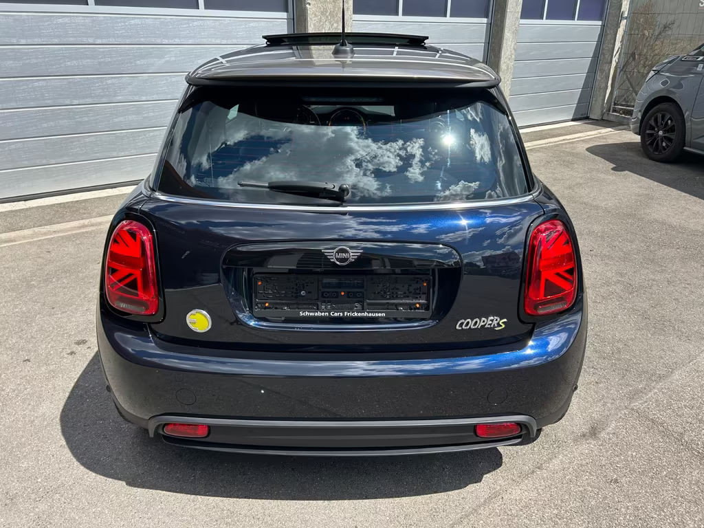 Mini Mini Electric
