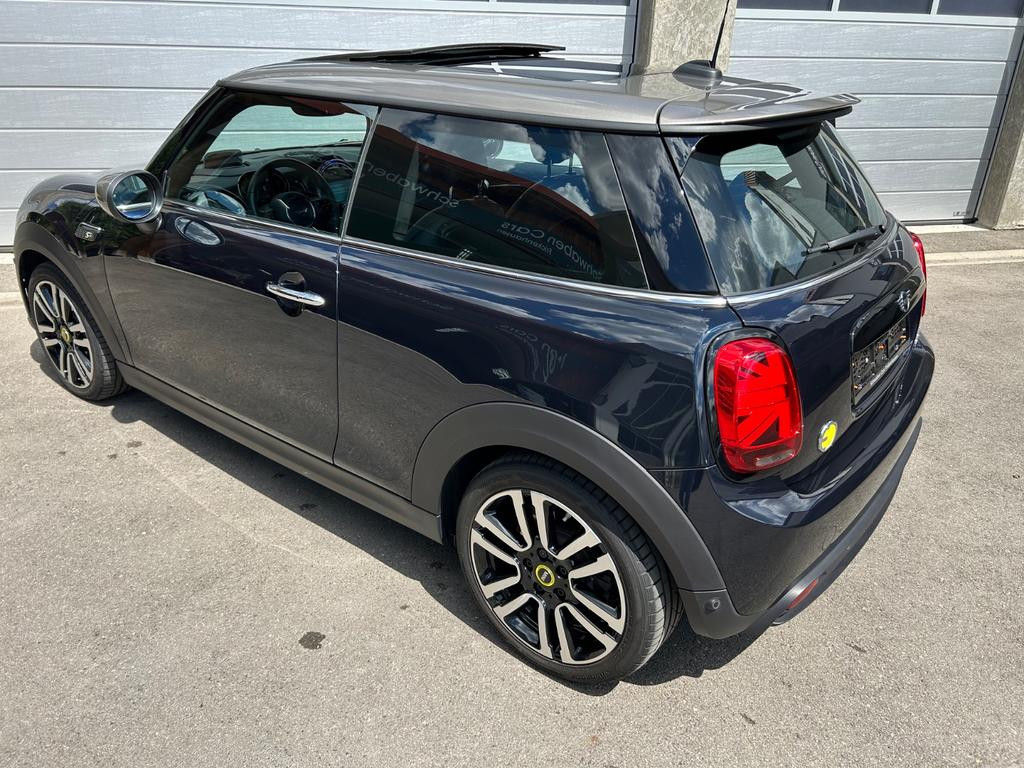 Mini Mini Electric