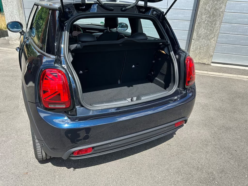 Mini Mini Electric
