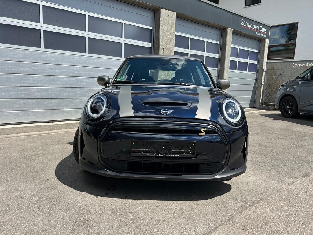 Mini Mini Electric