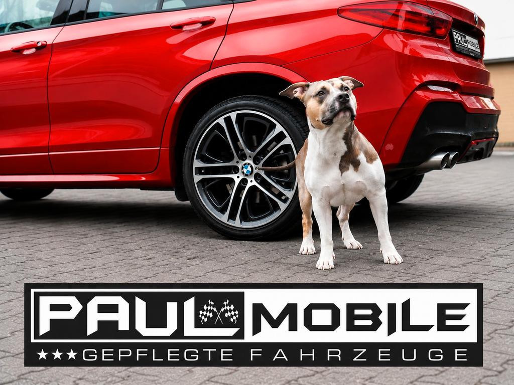 Peugeot E-3008