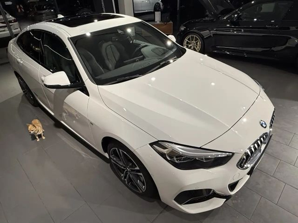BMW 2 Serie