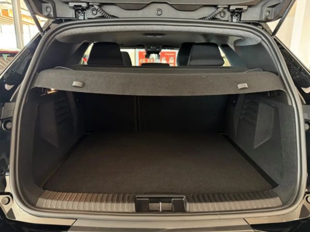 Mitsubishi Grandis