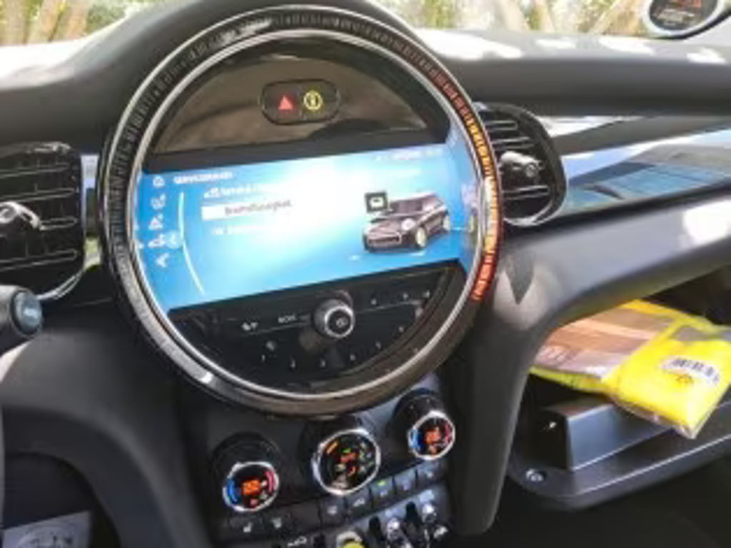 Mini Mini Electric