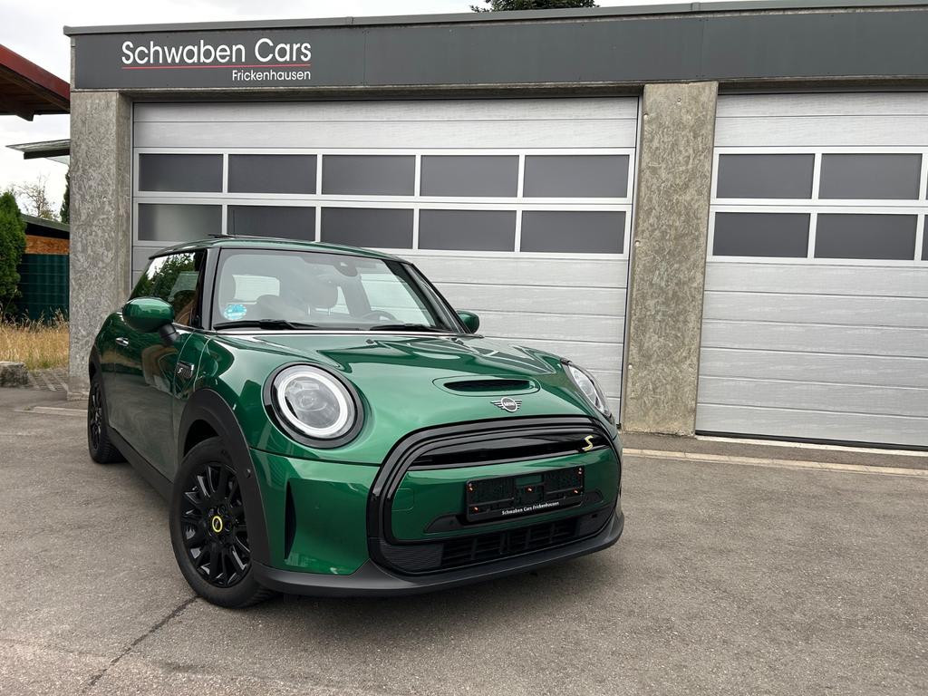 Mini Mini Electric