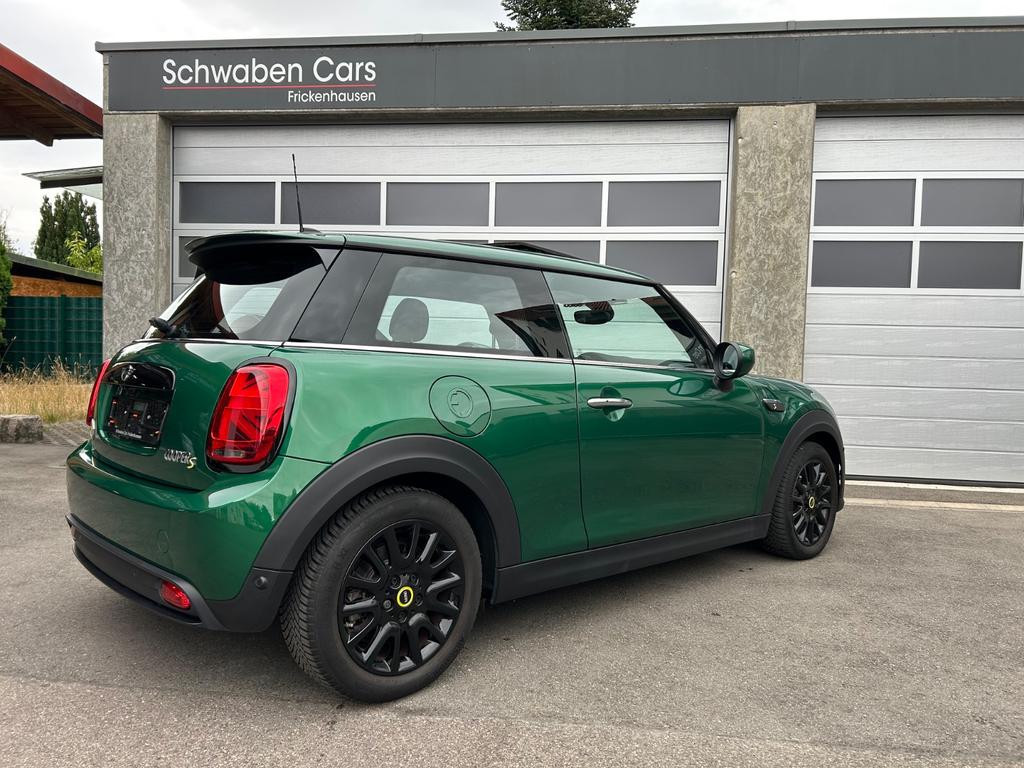 Mini Mini Electric