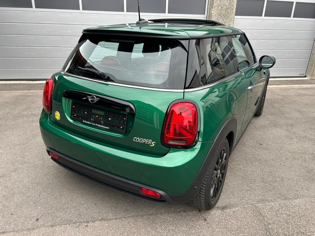 Mini Mini Electric