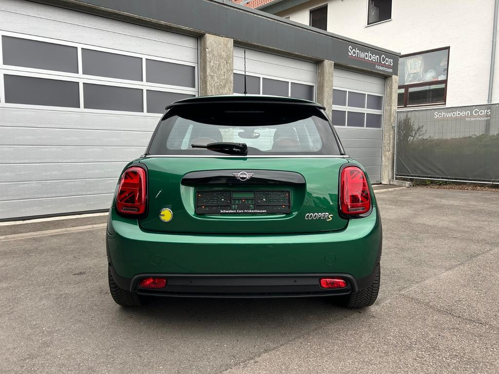 Mini Mini Electric