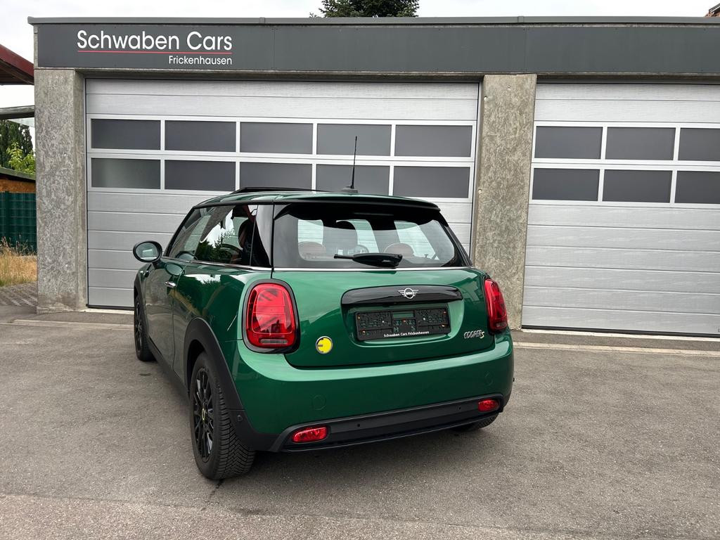 Mini Mini Electric