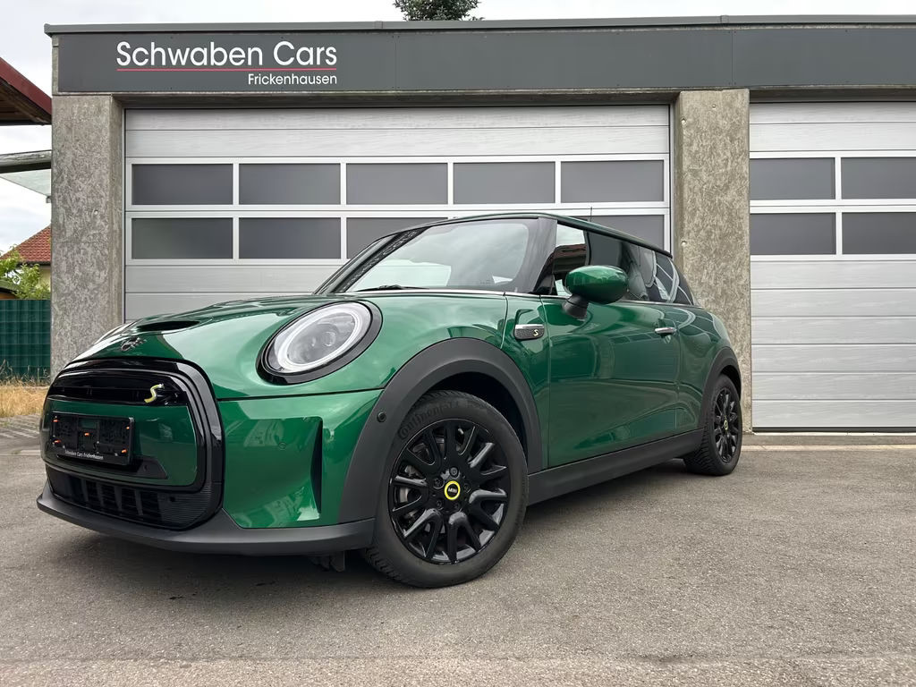 Mini Mini Electric