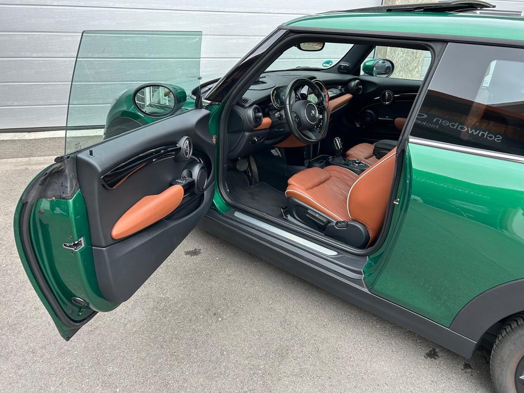 Mini Mini Electric