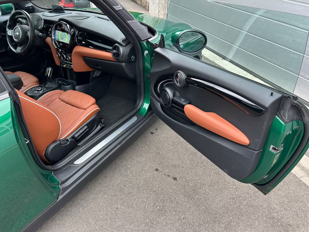 Mini Mini Electric