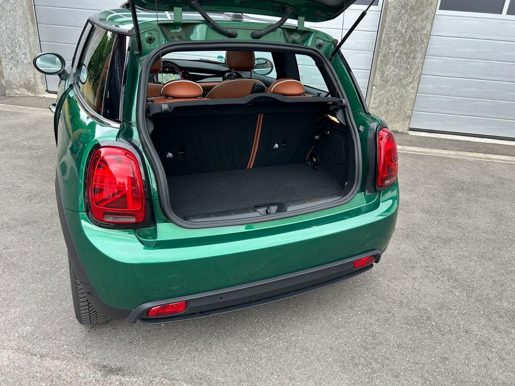 Mini Mini Electric