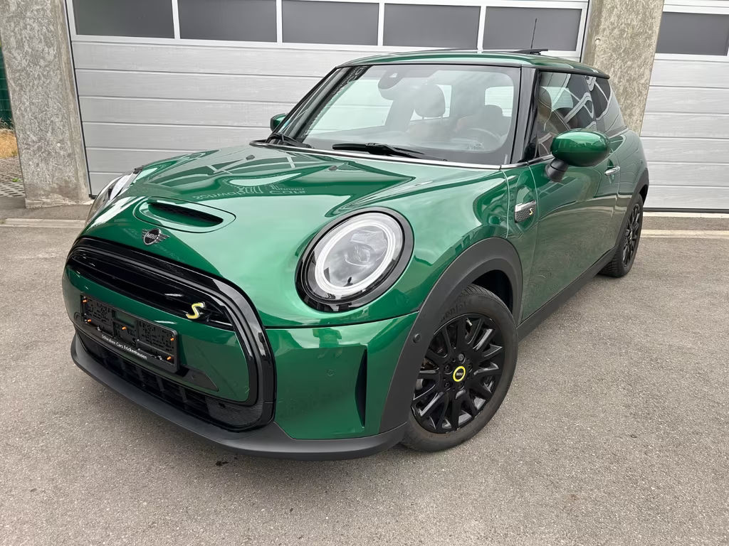 Mini Mini Electric