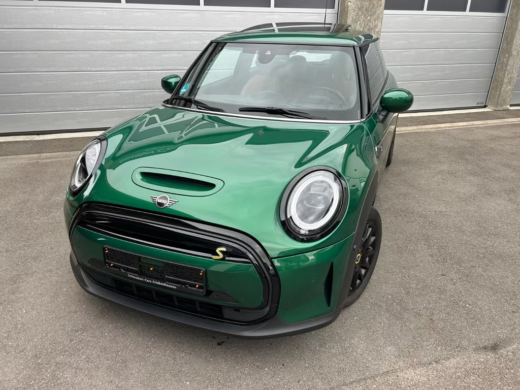 Mini Mini Electric