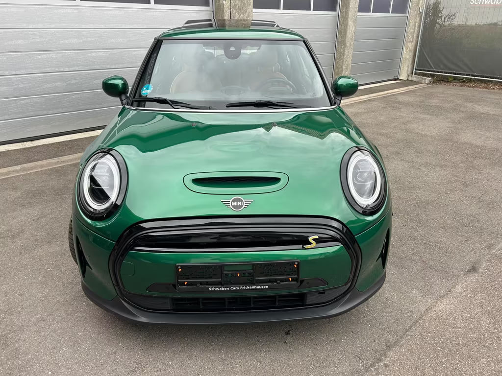 Mini Mini Electric