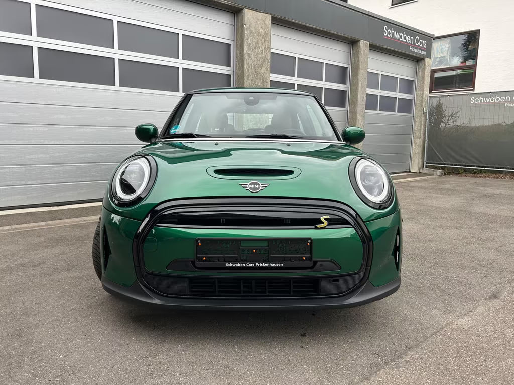 Mini Mini Electric