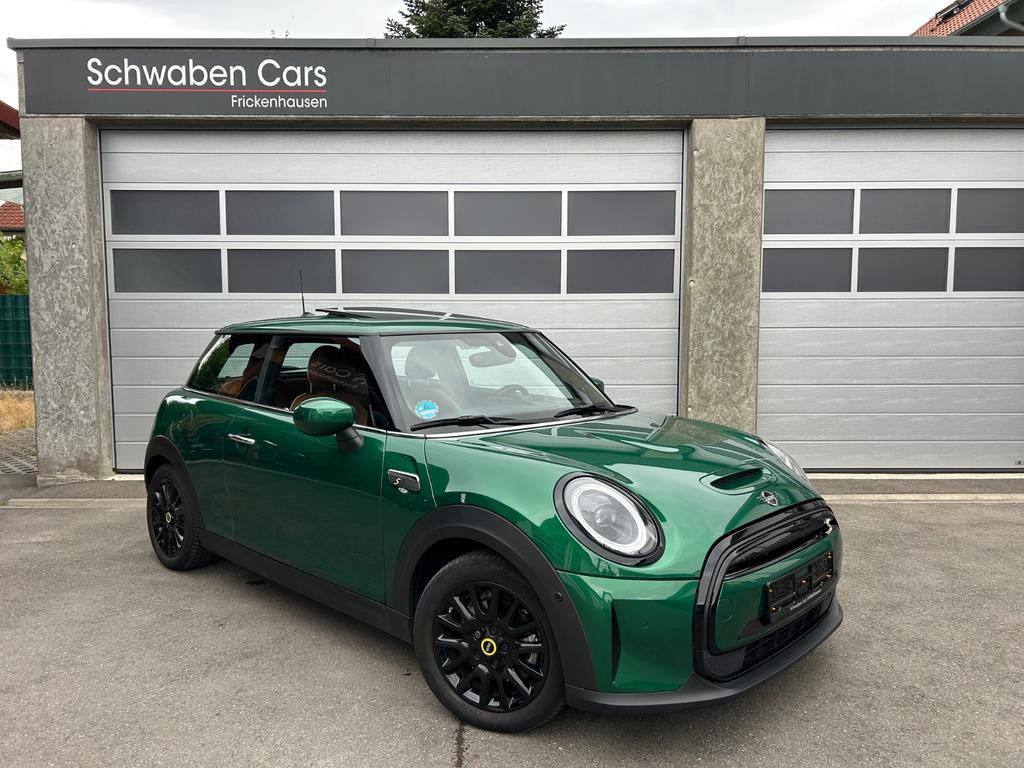 Mini Mini Electric