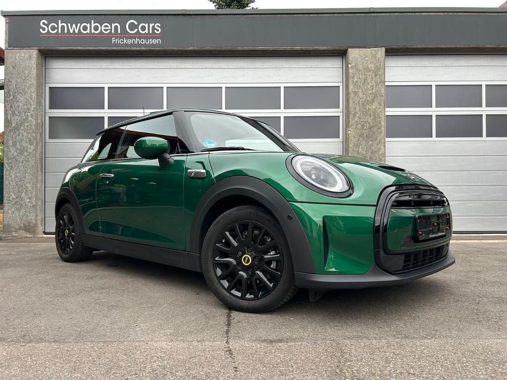 Mini Mini Electric