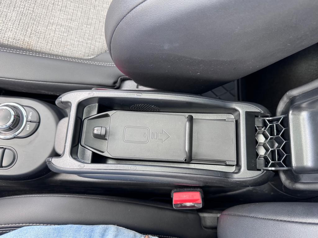 Mini Mini Electric