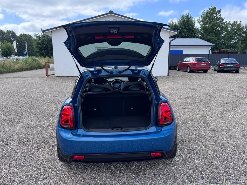 Mini Mini Electric