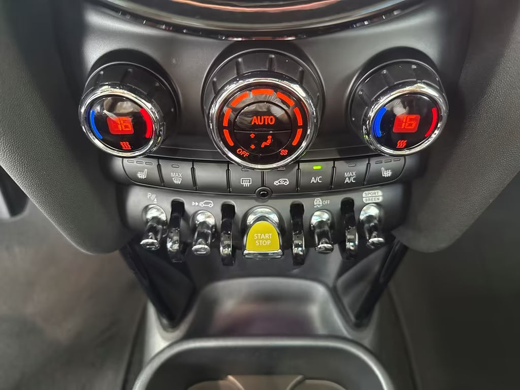 Mini Mini Electric