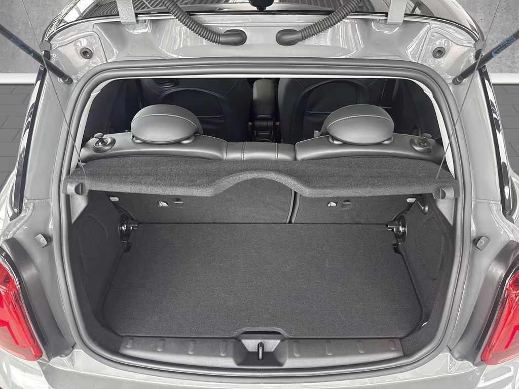 Mini Mini Electric
