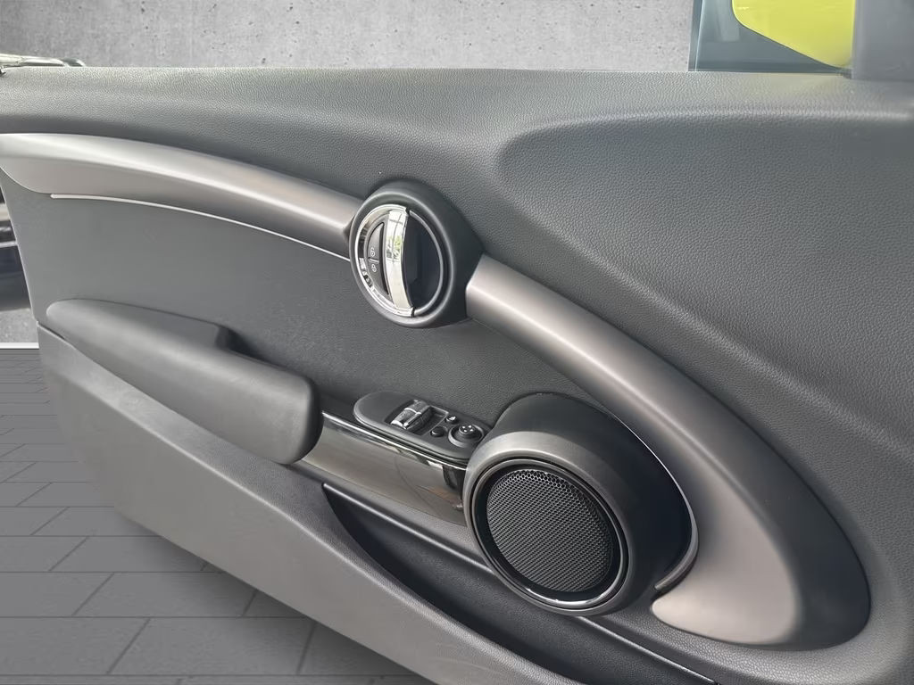 Mini Mini Electric