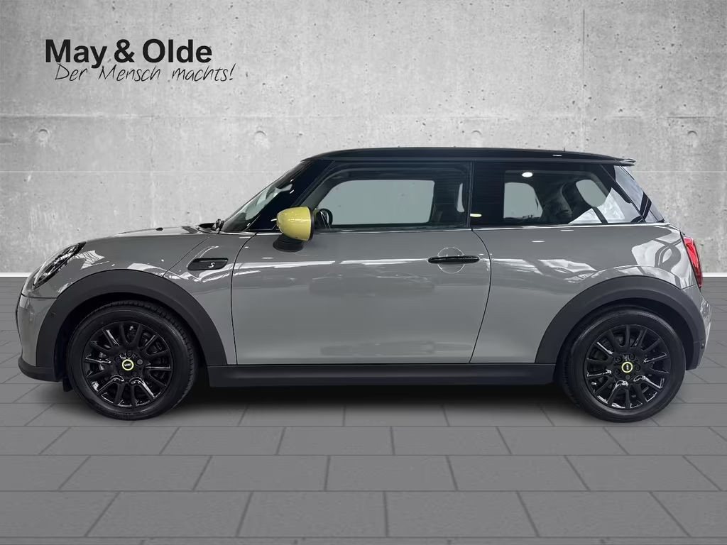 Mini Mini Electric