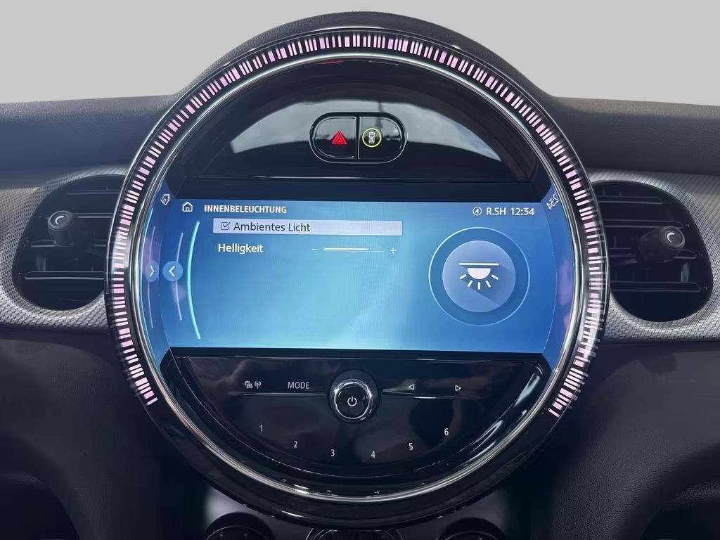 Mini Mini Electric
