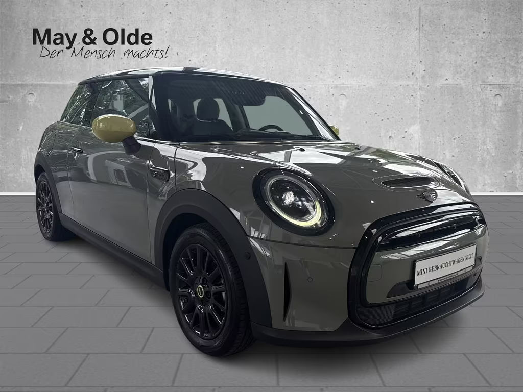 Mini Mini Electric
