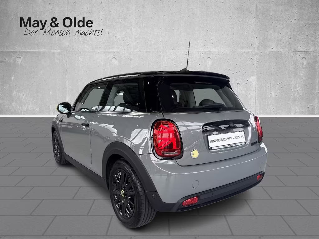 Mini Mini Electric