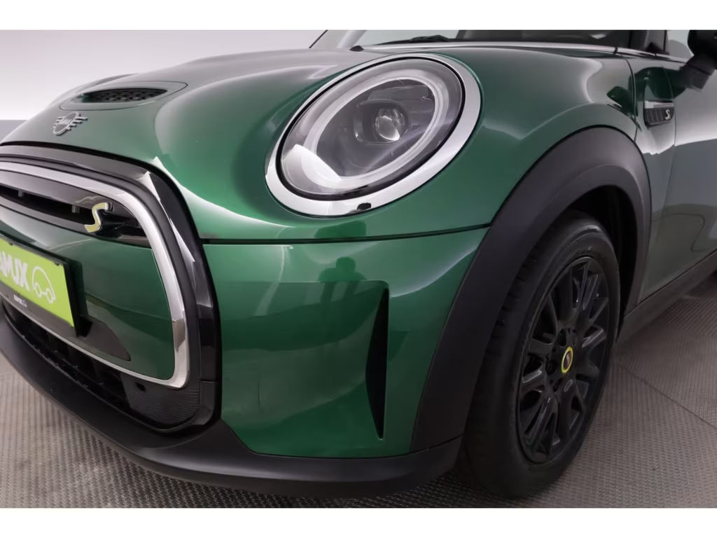 Mini Mini Electric