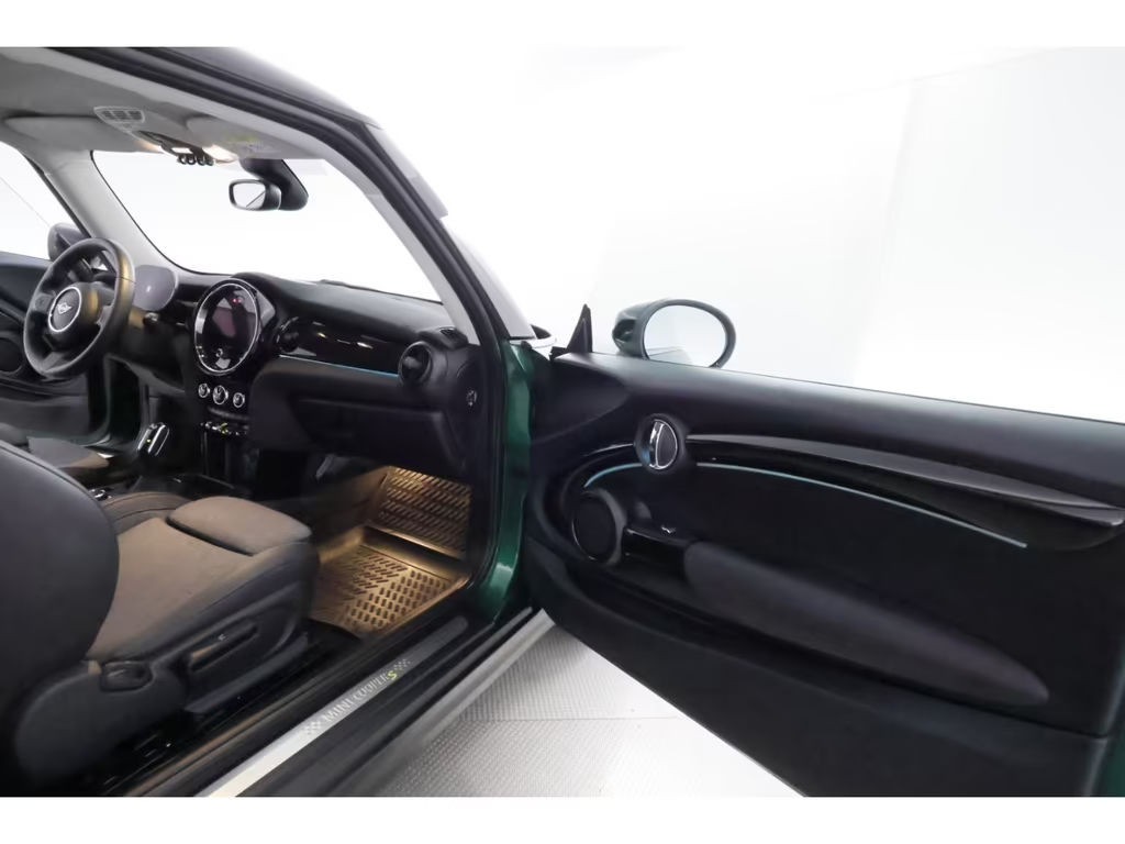 Mini Mini Electric