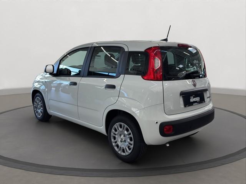 Fiat Pandina