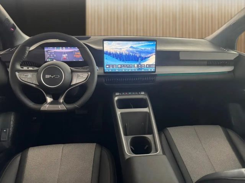 BYD Dolphin