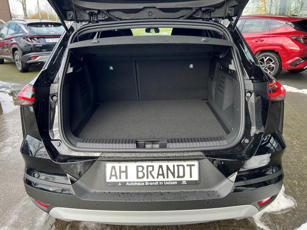 Mitsubishi Grandis