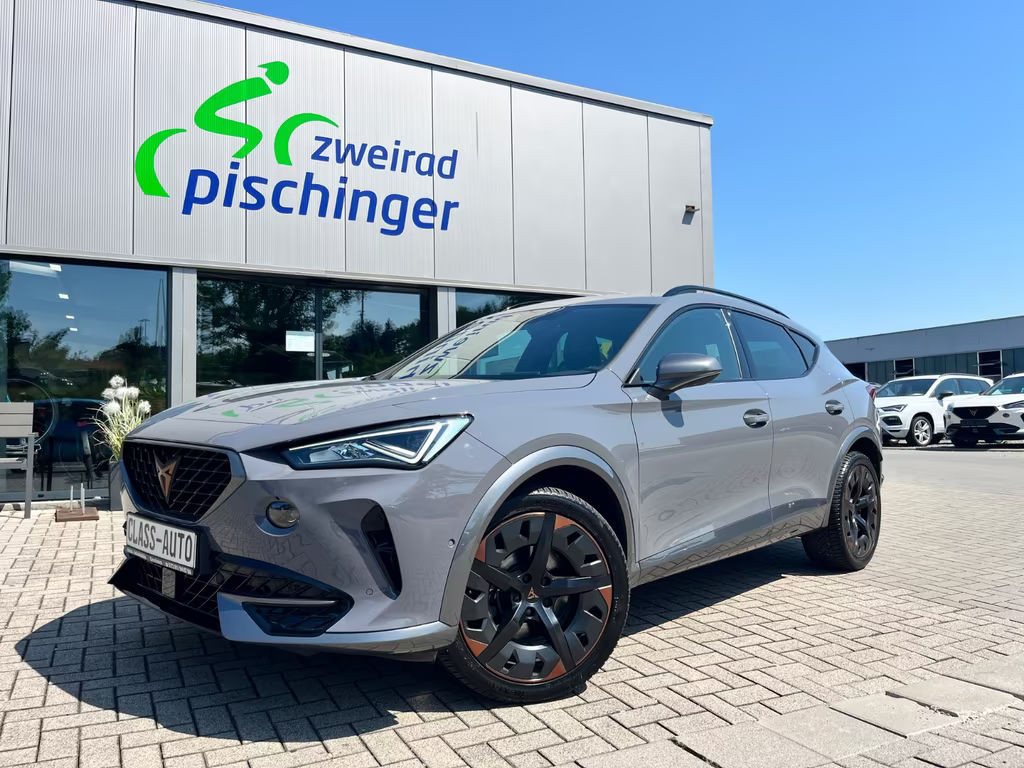 Cupra Formentor Basis/Kamera/LED/Abstand-Temp/Navi
