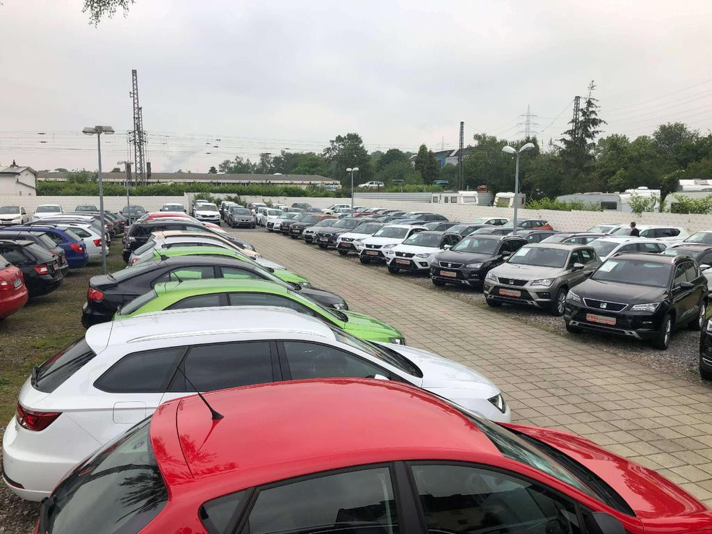 Cupra Raval