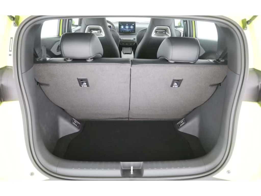 BYD Dolphin Surf