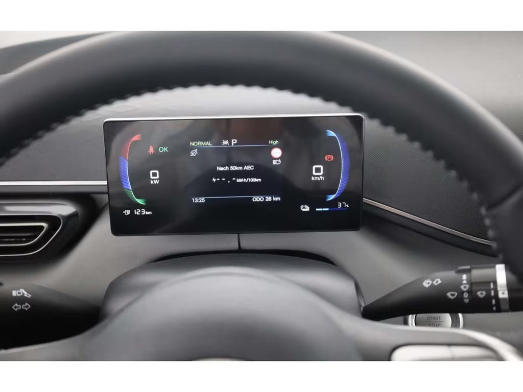 BYD Dolphin Surf