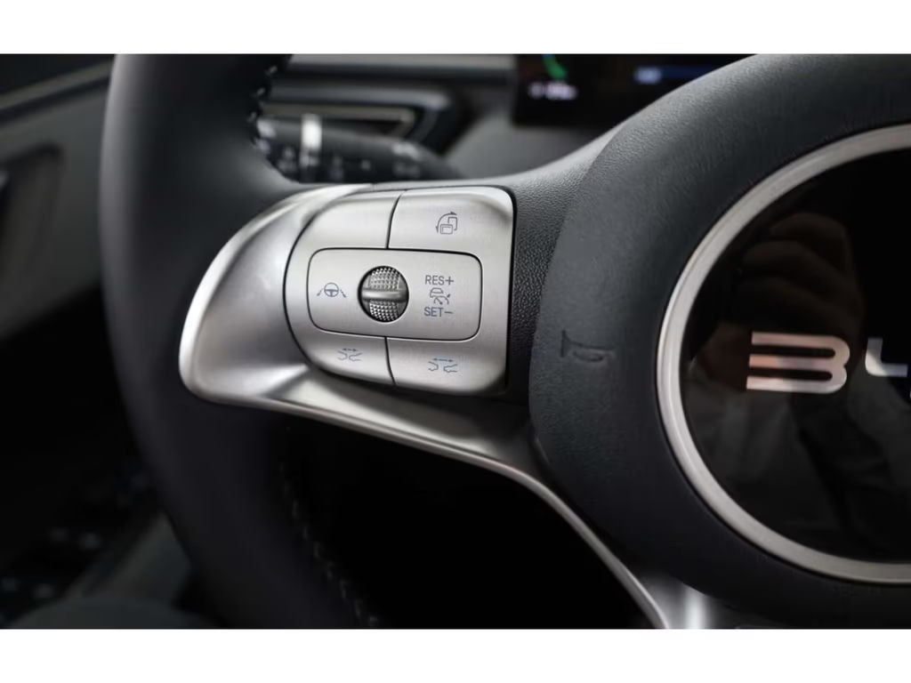 BYD Dolphin Surf