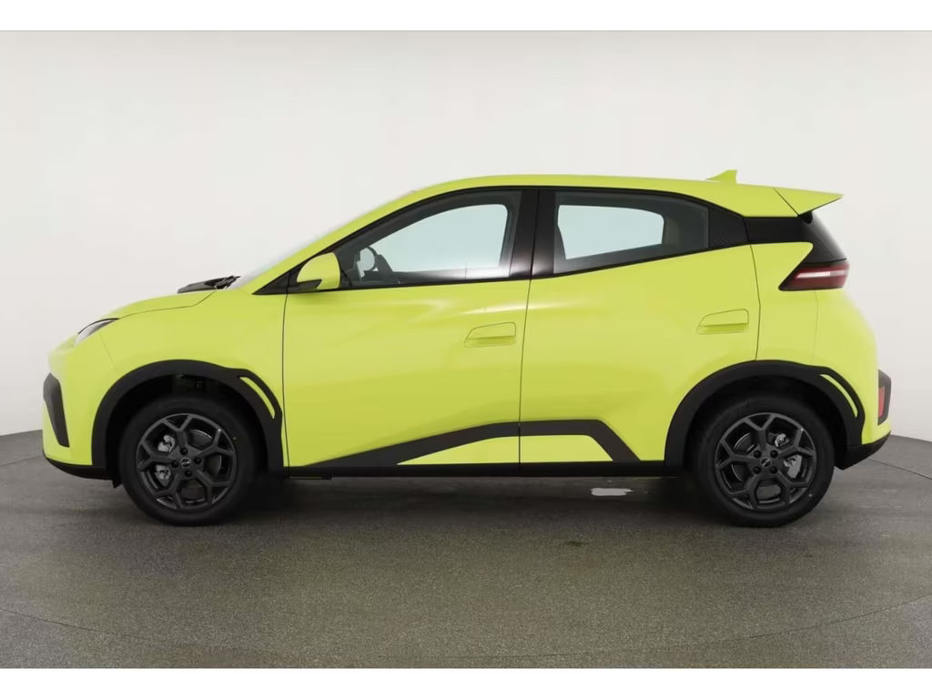 BYD Dolphin Surf